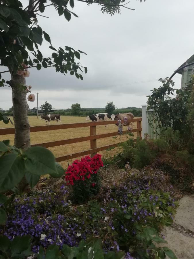Tig Na Coille B&B Country House Kilkenny Exterior foto
