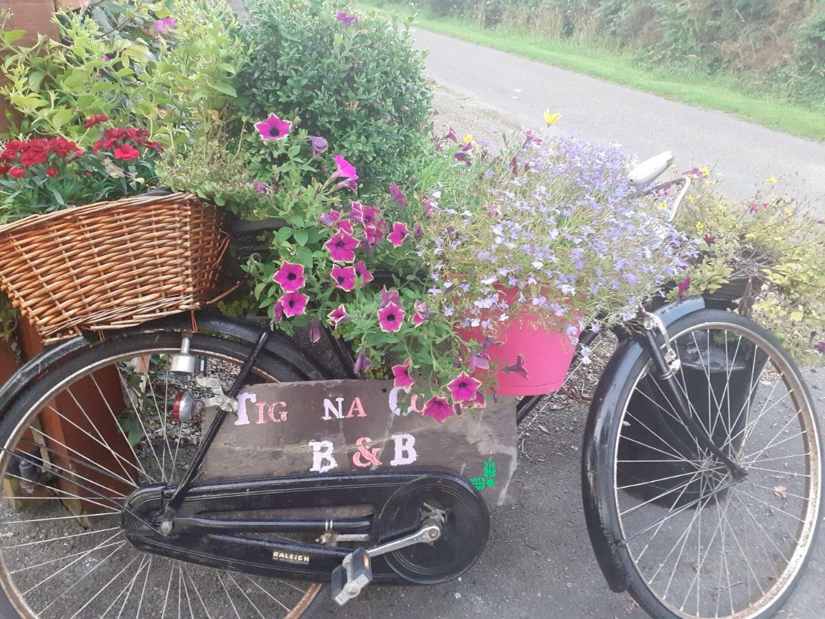 Tig Na Coille B&B Country House Kilkenny Exterior foto